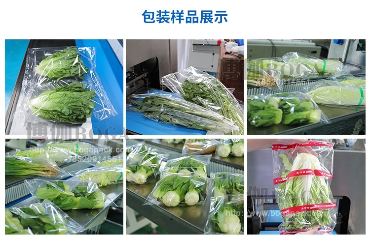 蔬菜包装样品 蔬菜包装样品
